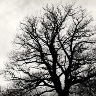 Love OnlyFans | @livingfunlife review (Leaks, Videos, Nudes)