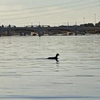 Max Benson OnlyFans | @maxattack review (Leaks, Videos, Nudes)