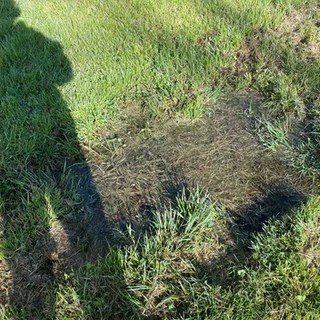 JR OnlyFans | @mountainmanse review (Leaks, Videos, Nudes)