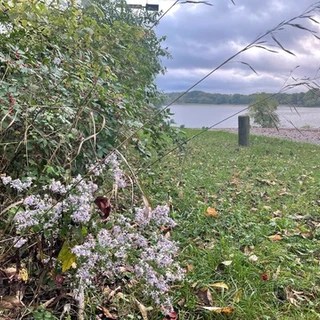 N A T U R E B A B E S OnlyFans | @naturebabes review (Leaks, Videos, Nudes)