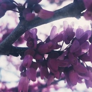 Nature+Thighs OnlyFans | @naturethighs review (Leaks, Videos, Nudes)