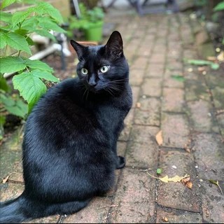 Oakley OnlyFans | @oakleydaily review (Leaks, Videos, Nudes)