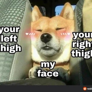 Dirty Little Secret OnlyFans | @ohdirtylittlesecret review (Leaks