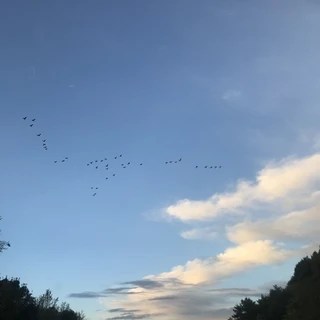 Olive Russell OnlyFans | @olivejrussell review (Leaks, Videos, Nudes)