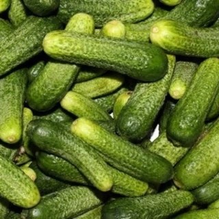 OnlyPickles OnlyFans | @only_pickles review (Leaks, Videos, Nudes)