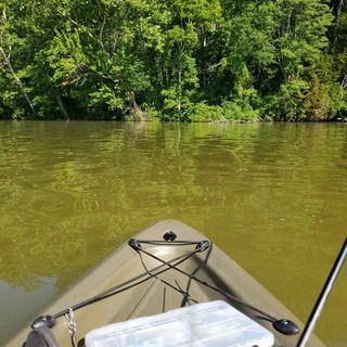 Frog OnlyFans | @pondhopper review (Leaks, Videos, Nudes)