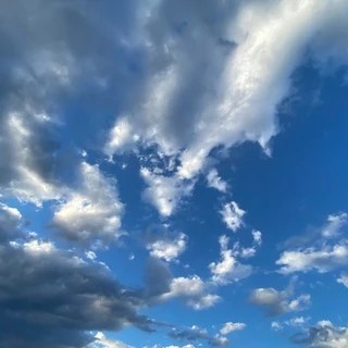 Sunnie OnlyFans | @sammiesunflower review (Leaks, Videos, Nudes)