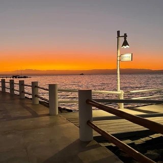 Sophi OnlyFans | @sophi_1117 review (Leaks, Videos, Nudes)