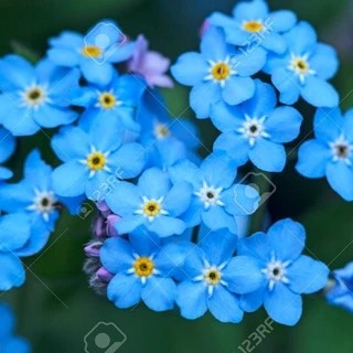 That One Voice OnlyFans | @sultry_readings review (Leaks, Videos, Nudes)