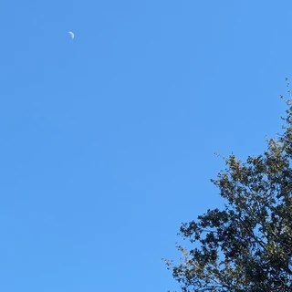 Sunny Daze OnlyFans | @sunnyy_dazeee review (Leaks, Videos, Nudes)