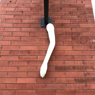 TacomaArms OnlyFans | @tacomaarms review (Leaks, Videos, Nudes)