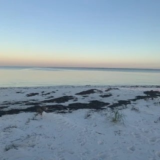 Diesel OnlyFans | @thediesel8 review (Leaks, Videos, Nudes)