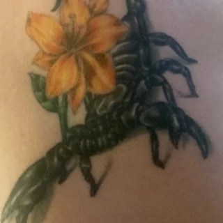 T OnlyFans | @tnicole420 review (Leaks, Videos, Nudes)