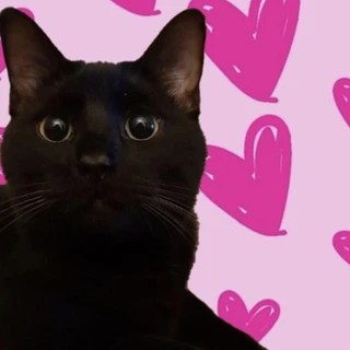 Val OnlyFans | @valery.val review (Leaks, Videos, Nudes)