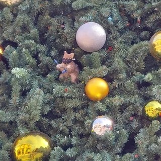 Tonyy OnlyFans | @yung.hungcock review (Leaks, Videos, Nudes)