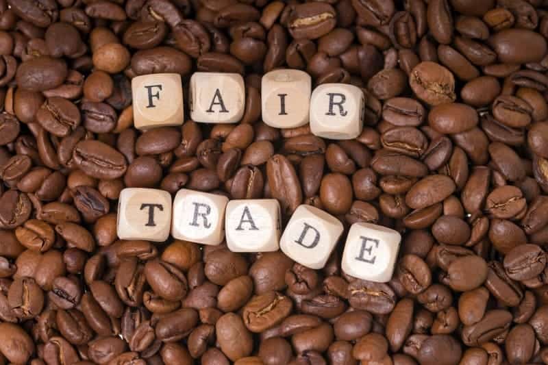 A Coffee Lovers Guide To The Best Coffee Beans (2020)