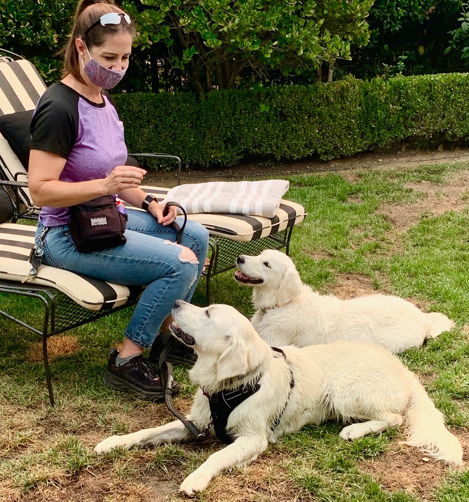 Meet the Trainer Creature Coach Dog Training Denton, TX