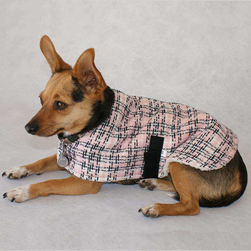 Deluxe Fleece Dog Jacket Dog Jacket Cape Town Creature Comforts