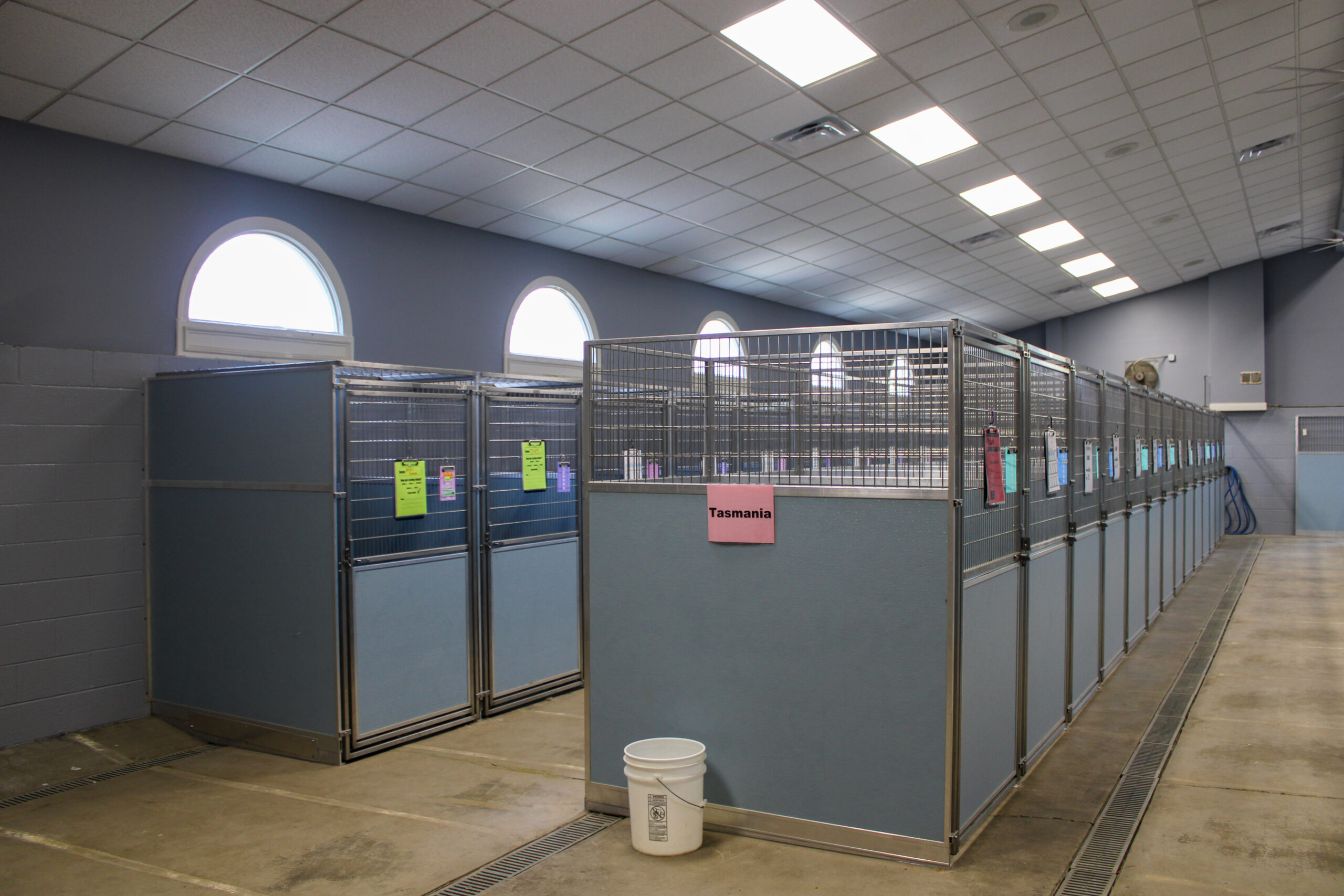 Dog & Cat Boarding in Durham, NC Creature Comforts Inn