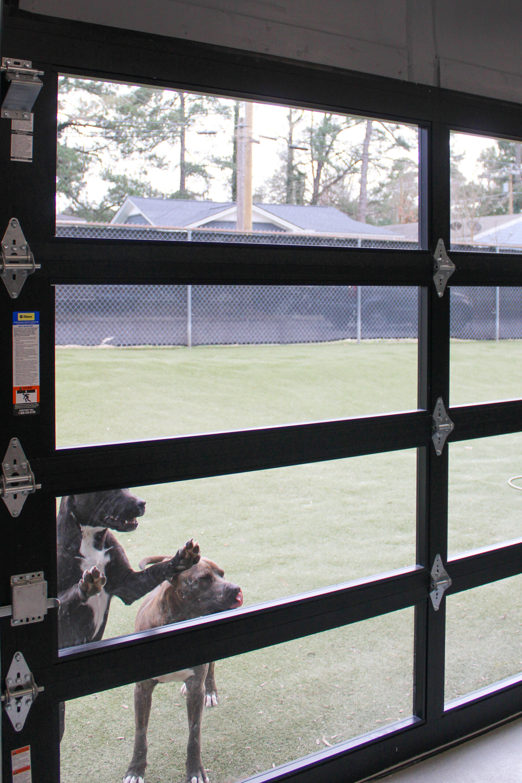 Dog & Cat Boarding in Durham, NC Creature Comforts Inn