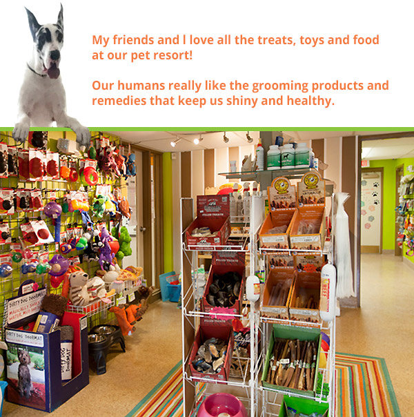 Retail pet store in Angola & Tonawanda, NY. BilJac food, Victor dog food
