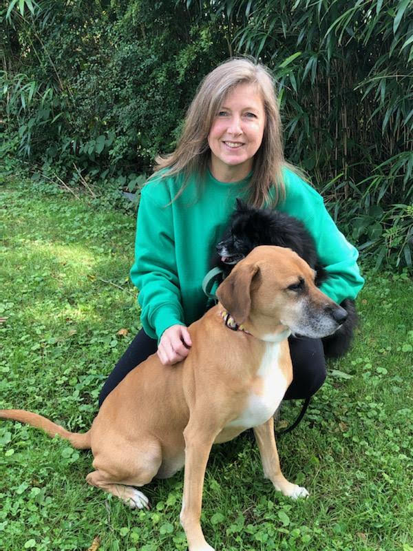 Meet The Team Creature Comforts Pet Sitting