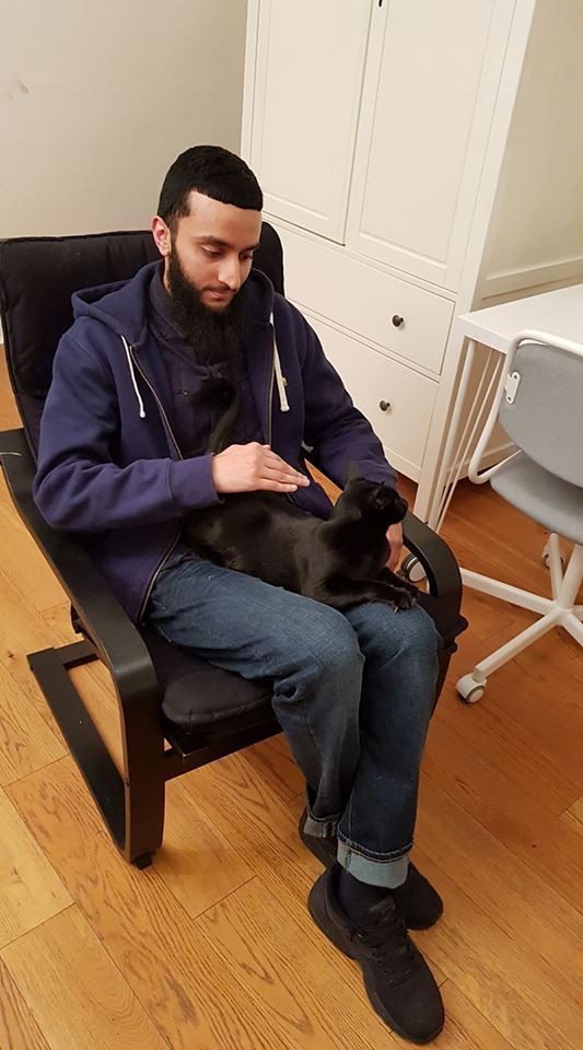 Fear of Cats Ailurophobia Creature Courage