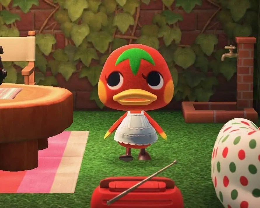 Ketchup Animal Crossing Creature Crossing