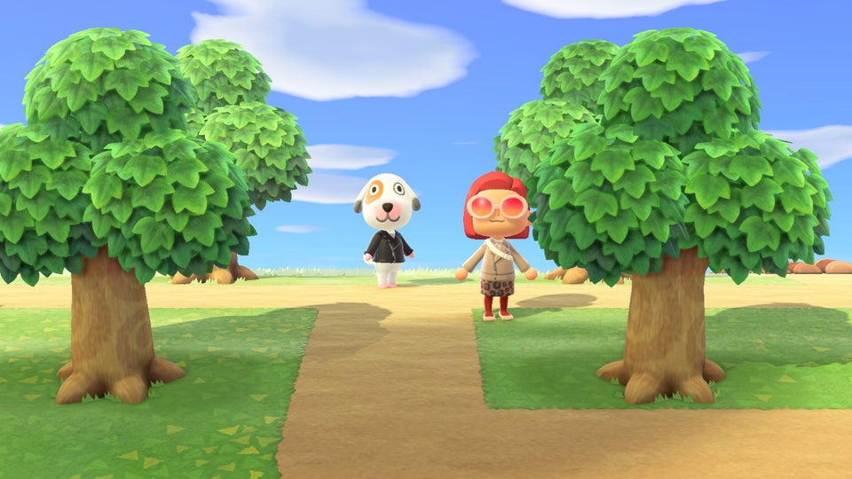 Bones Animal Crossing Creature Crossing