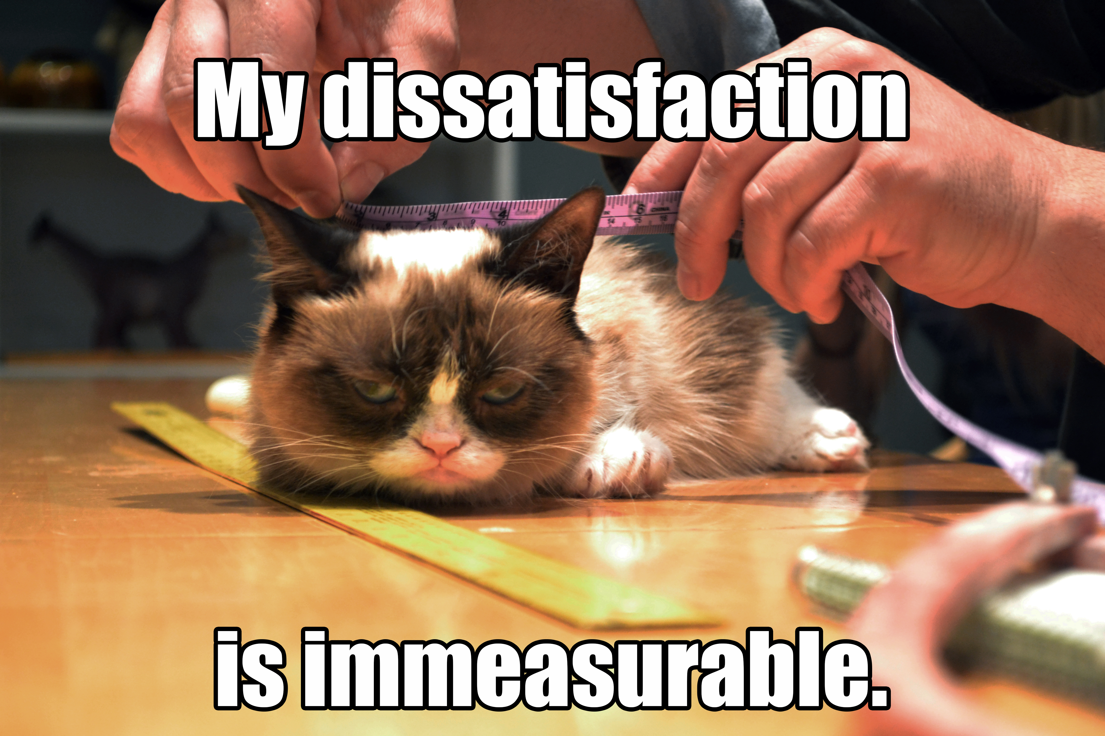 Grumpy Cat Visits The Creature Shop! Jim Henson's Creature Shop