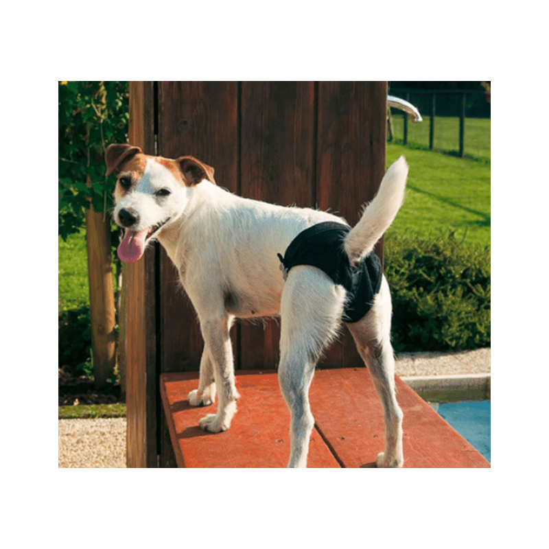 Pet Supplies ferplast Hygienic pants for dogs creatures oasis