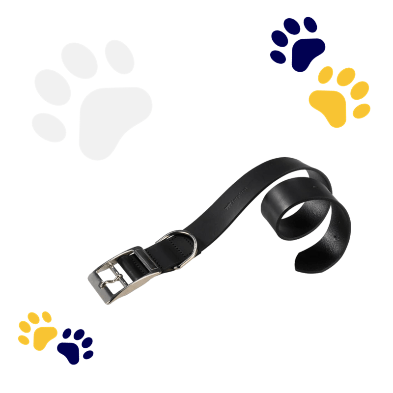 ferplast leather dog collar Creatures Oasis