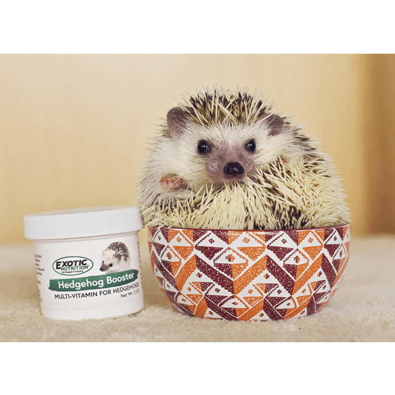 exotic nutrition Hedgehog Booster (Multivitamin) creatures oasis