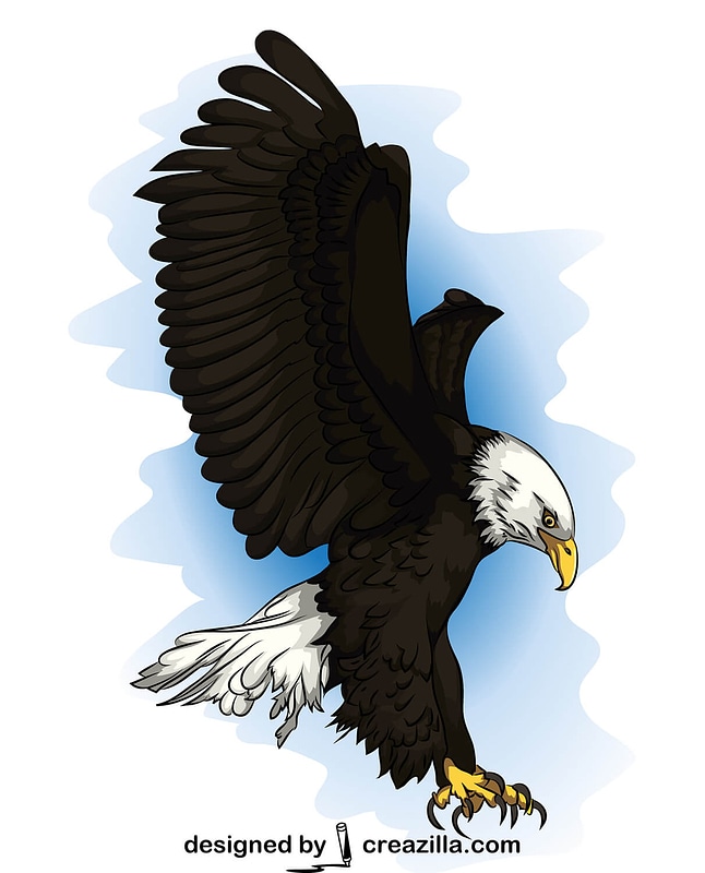 Bald Eagle vector. Free download. Creazilla