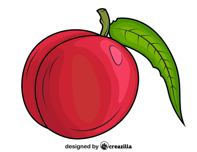Nectarine vector. Free download. Creazilla