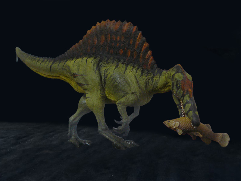 Spinosaurus Crecy Models