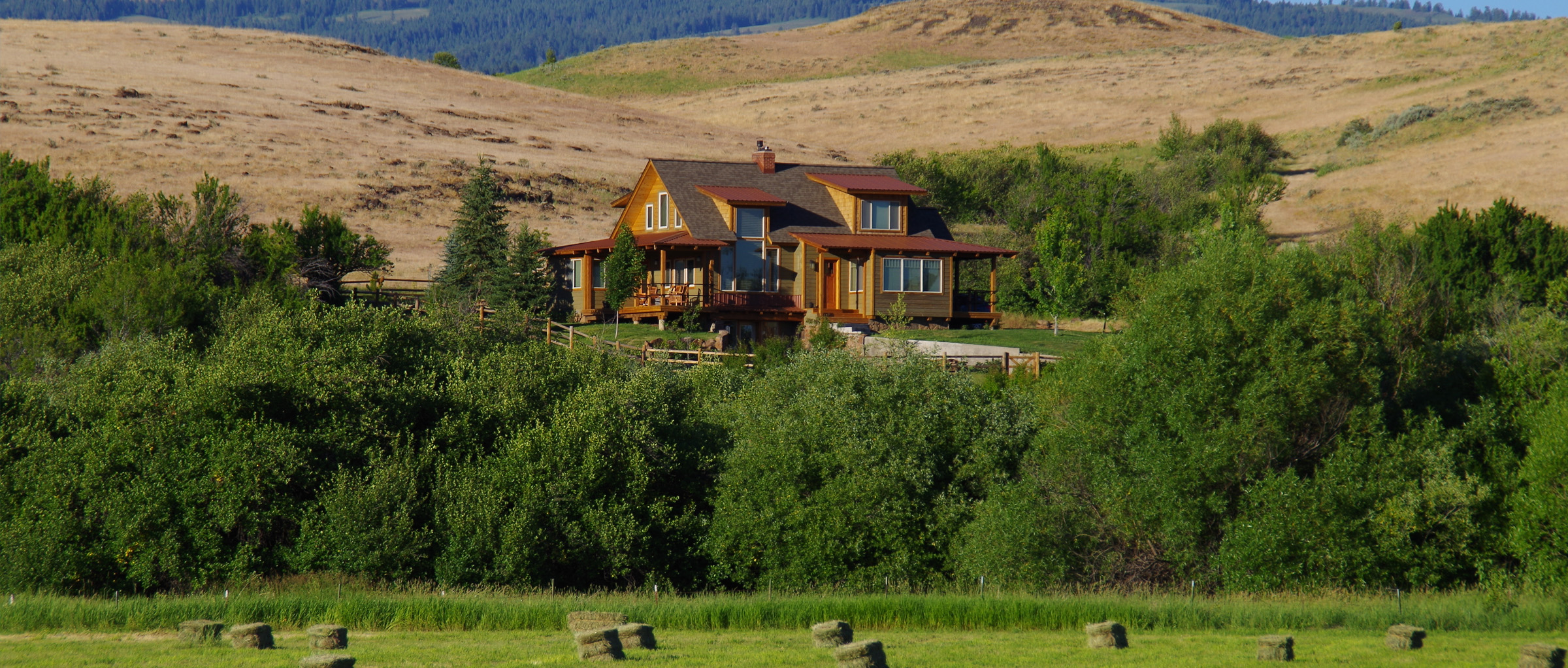 Creed Noah Home Page