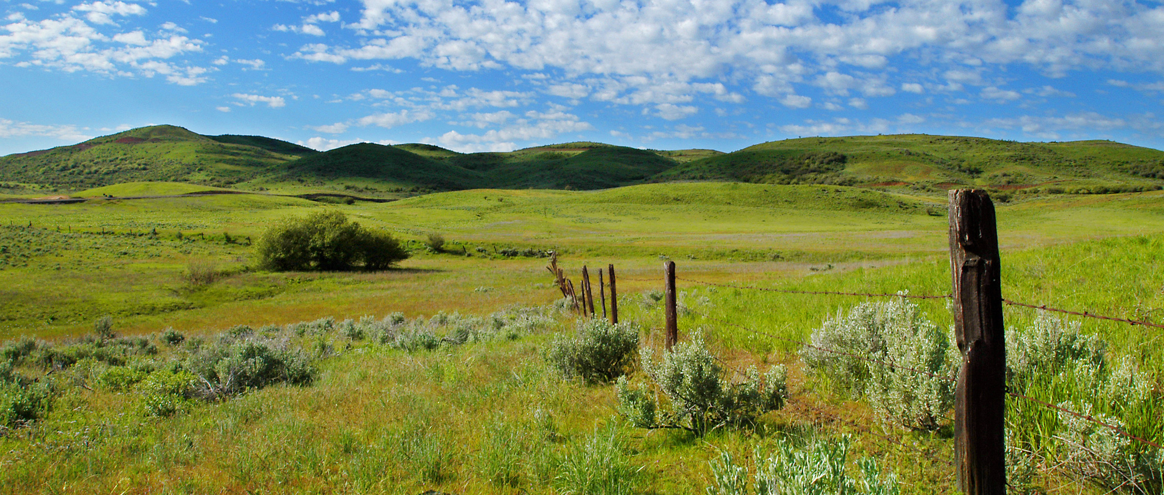 Creed Noah Home Page