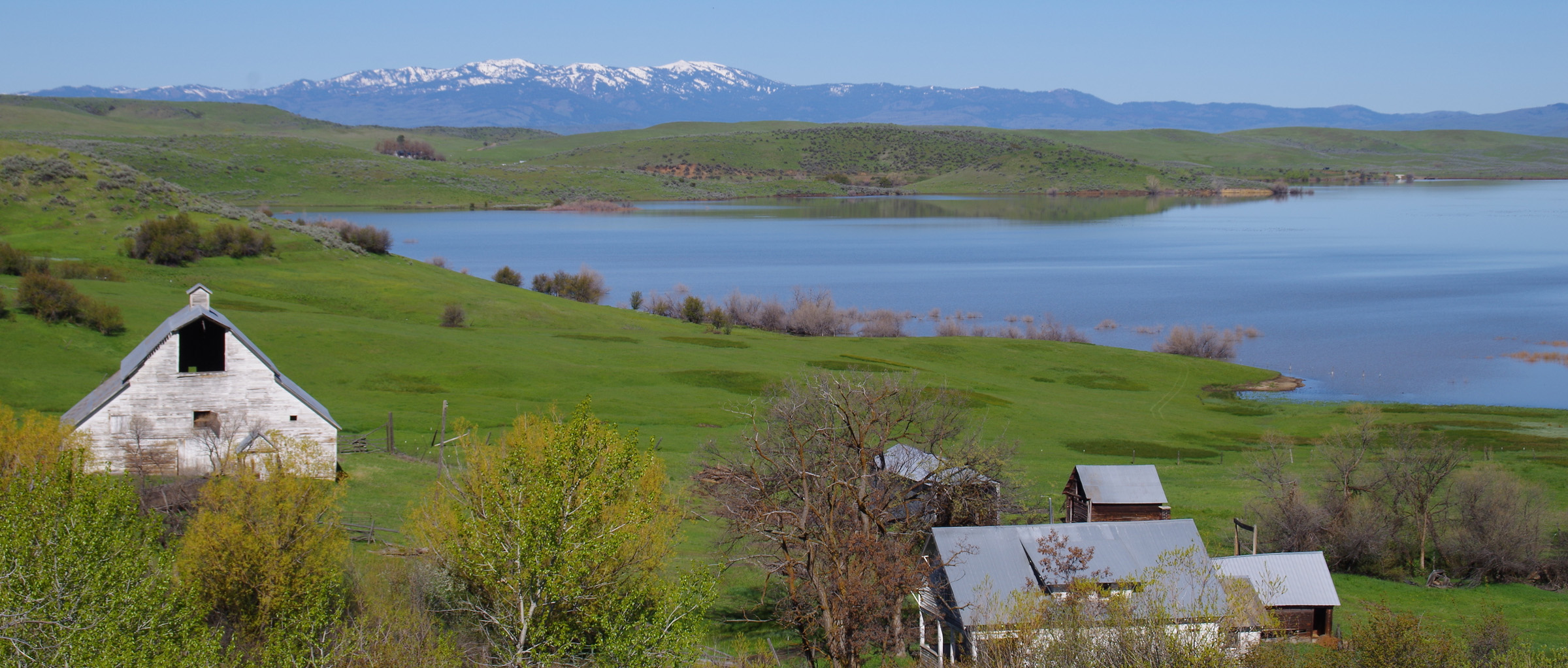 Creed Noah Home Page