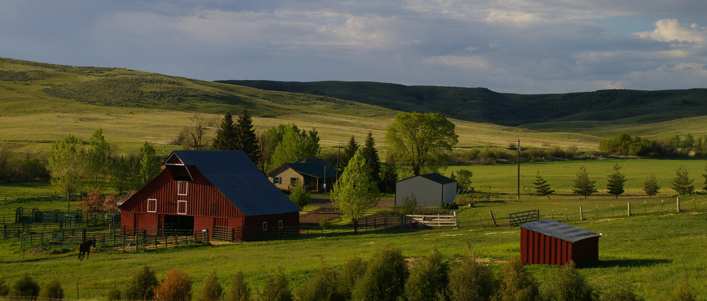 Creed Noah Home Page