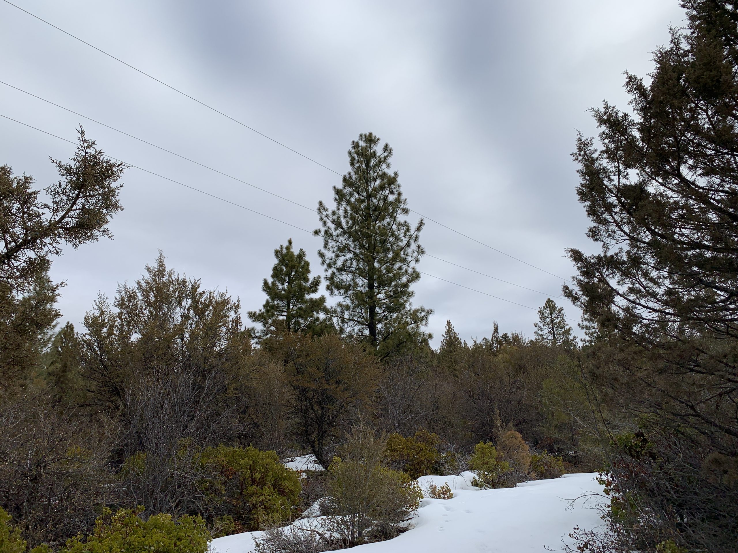 Hummingbird Dr, Bonanza, OR 97623 Creekside