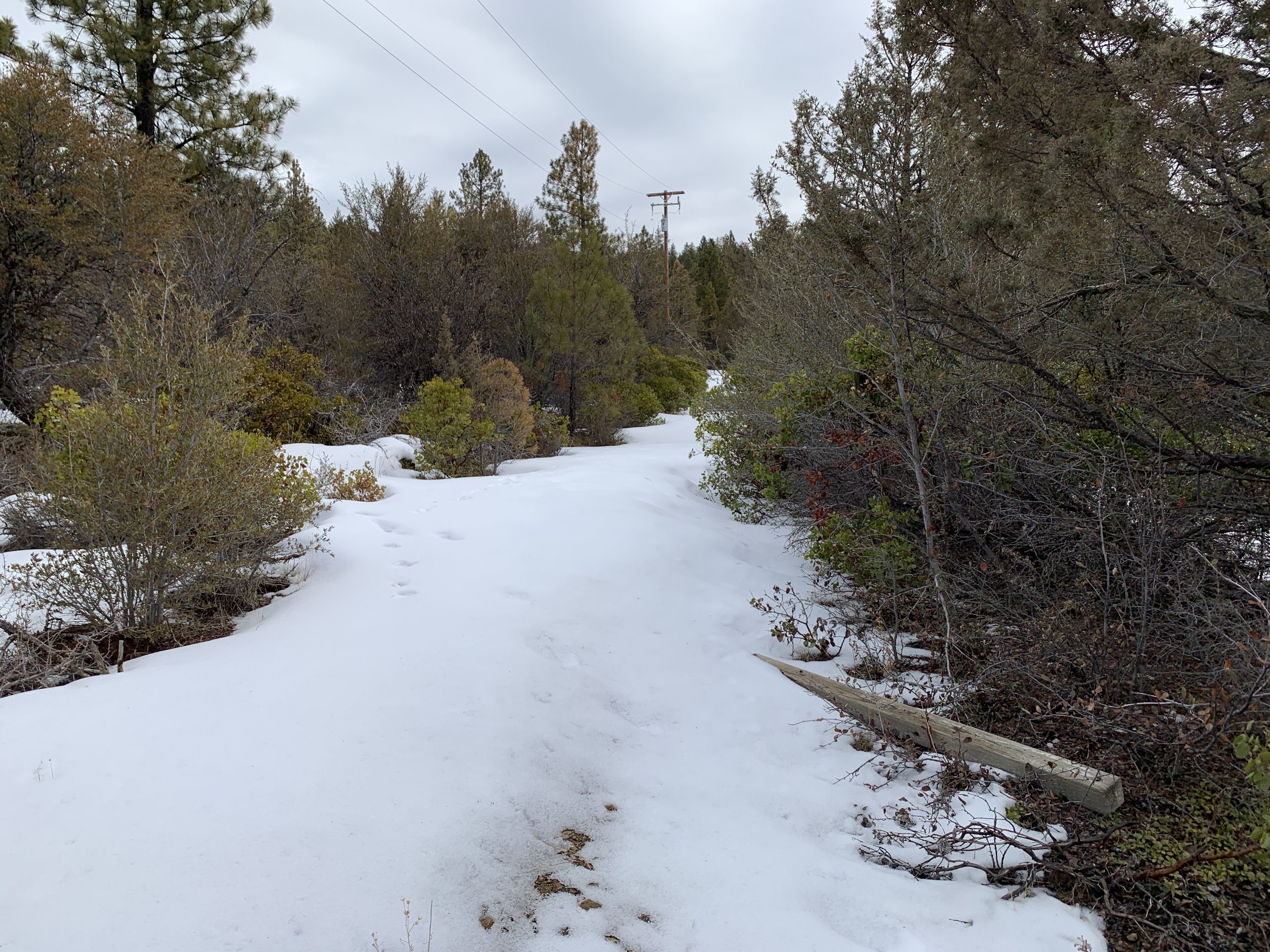 Hummingbird Dr, Bonanza, OR 97623 Creekside