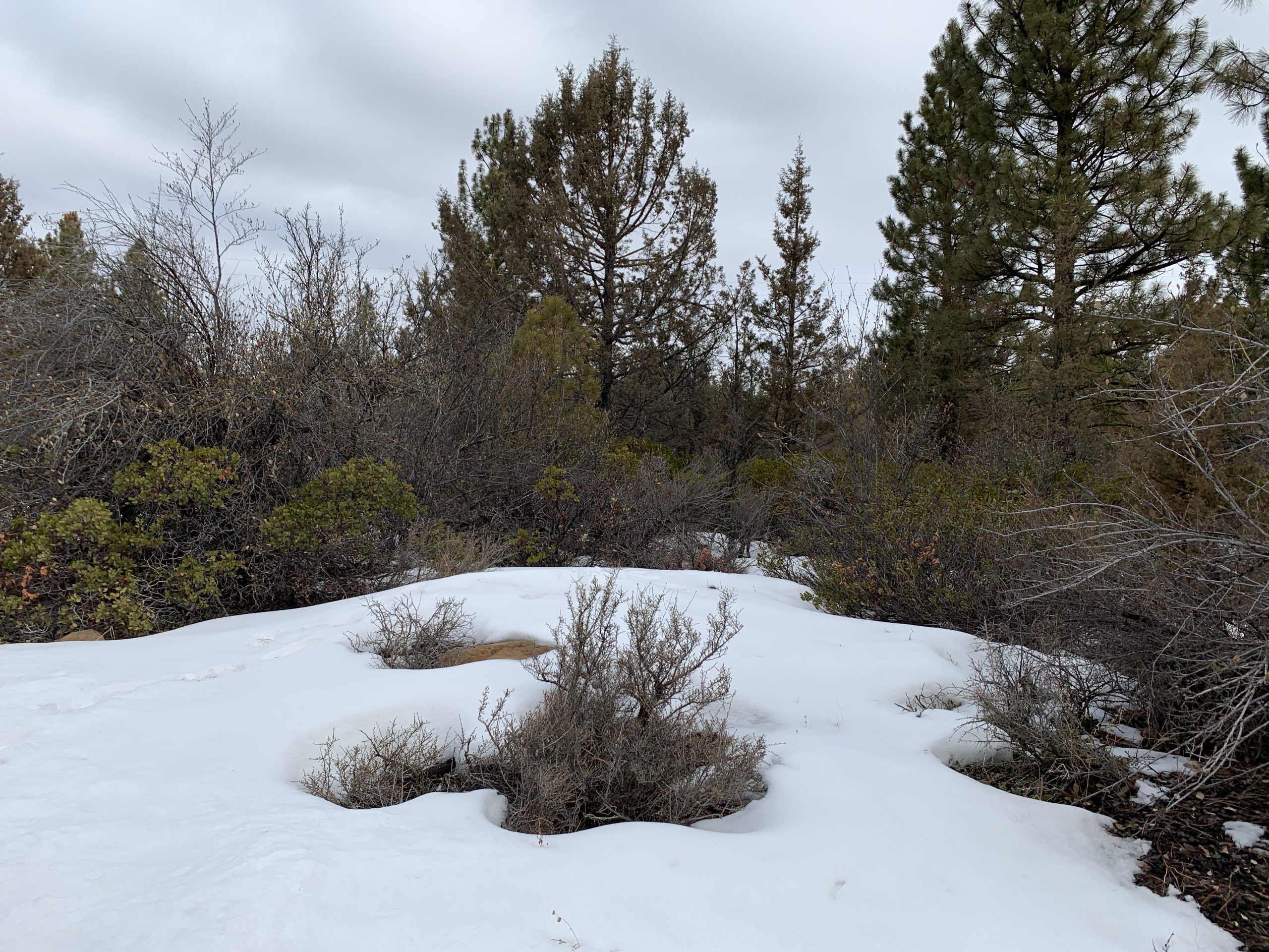Hummingbird Dr, Bonanza, OR 97623 Creekside