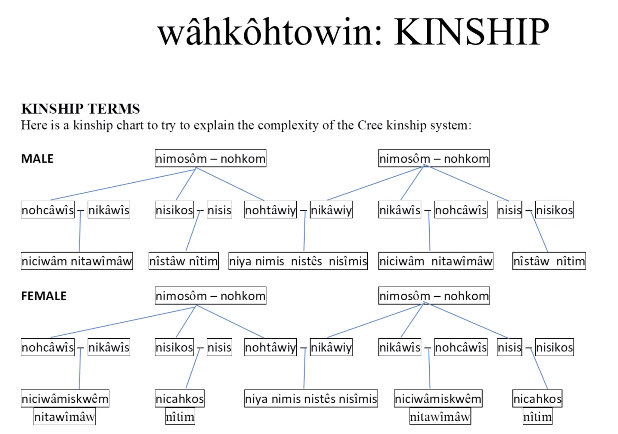 Stay home Learn Cree 7. Kinship Terms Cree Literacy Network