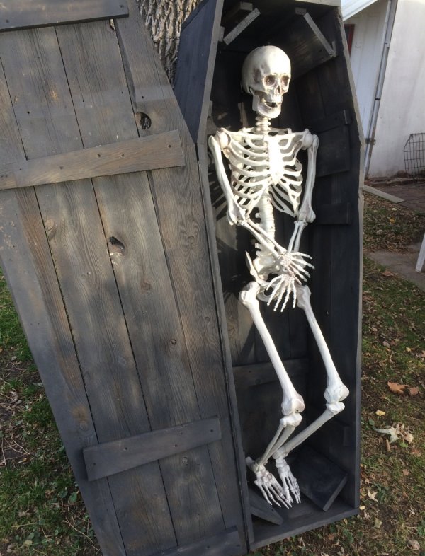 Life Sized Coffin With Skeleton Creepbay