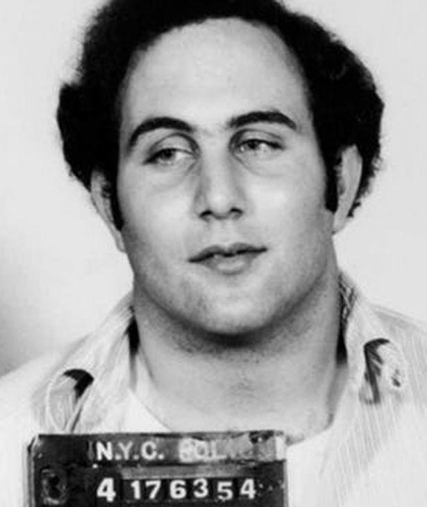 Arne Johnson 2020 / Arne EllefsonCarnes Men's Cross Country St