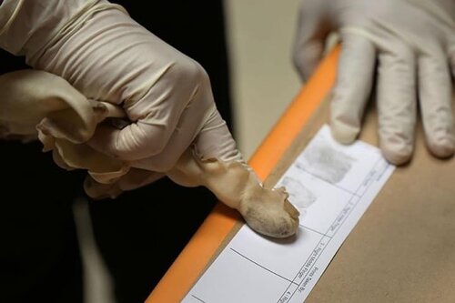 ForensicsDeadBodyAlgebra2 Copy geschichtenstage.visitsweden
