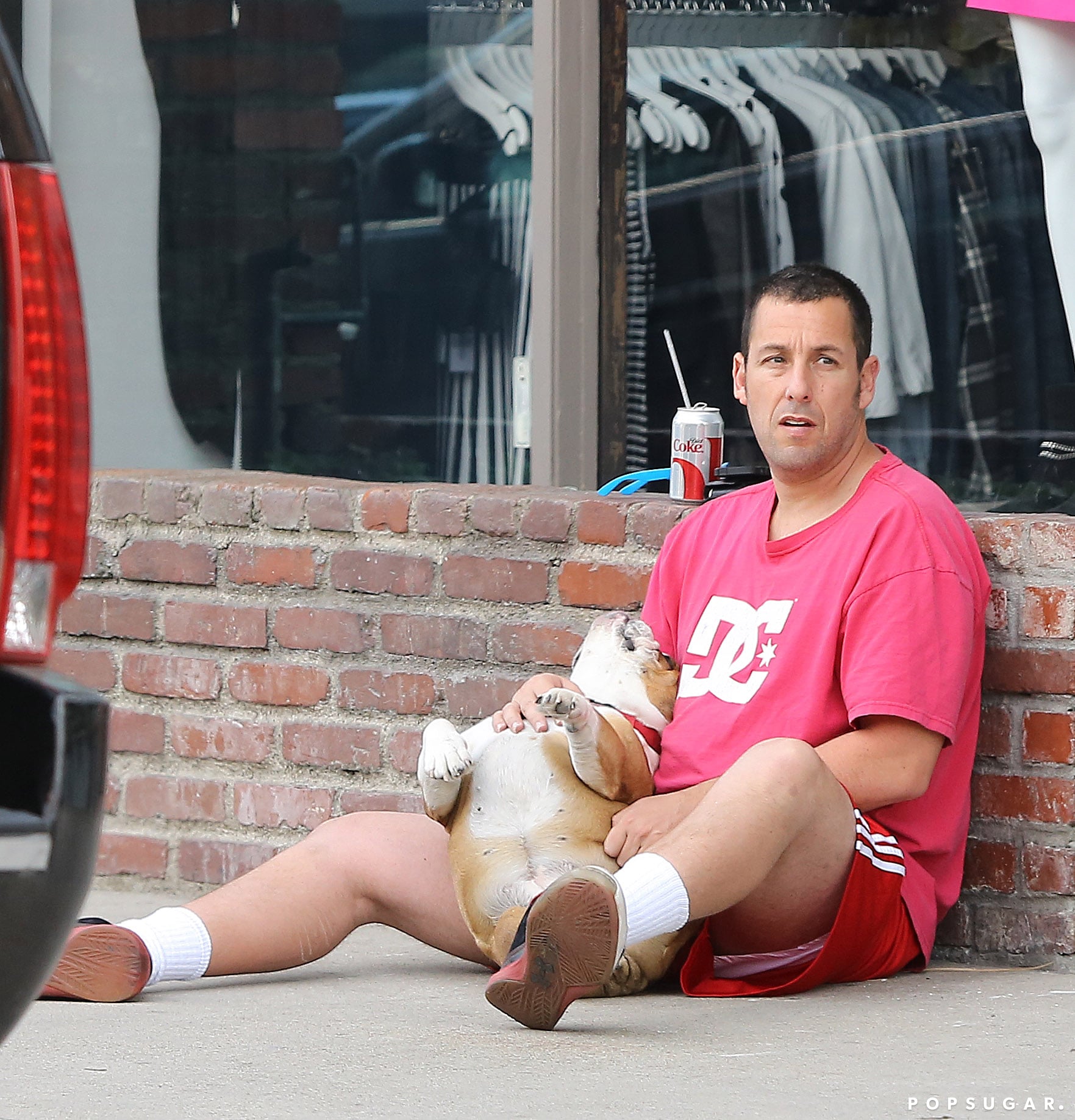 Adam Sandler Bio, Height & Weight Creeto