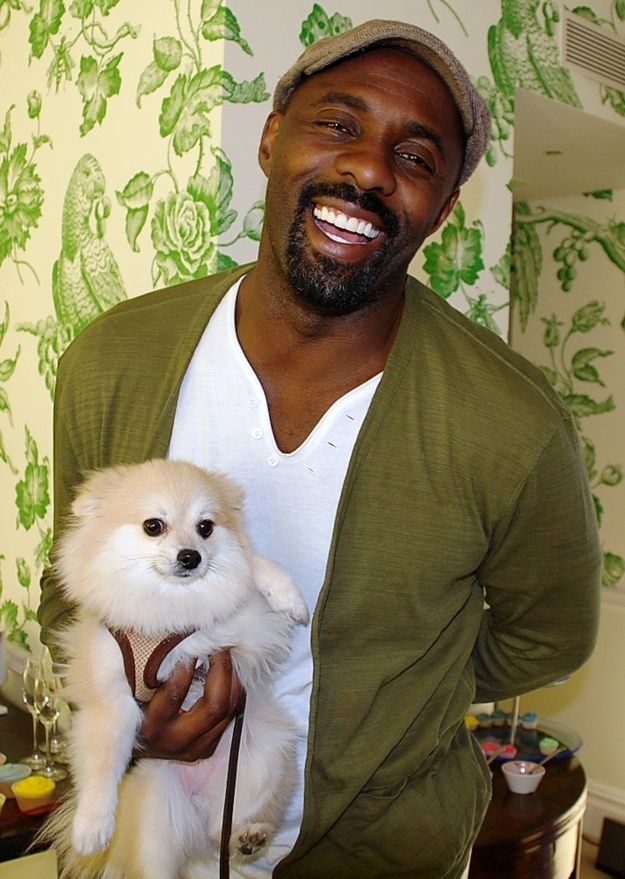 Idris Elba Height, Age, Movies, Spouse, Tattoo, Net Worth