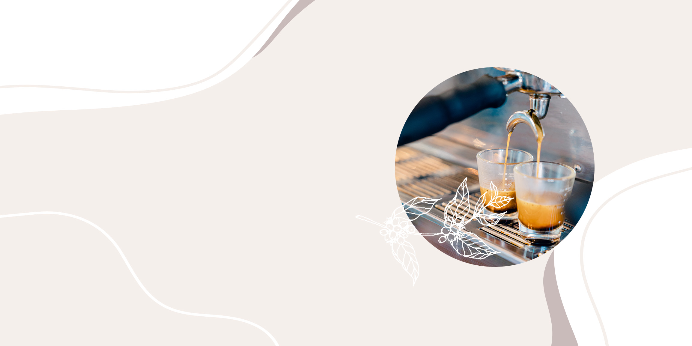 Crema Coffee Company Tyler, TX